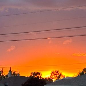 Meet your Posher, Oak